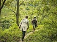 Heeloya Village Trek from Kandy