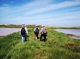Nature sighting, forest walks or wetlands