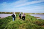 Nature sighting, forest walks or wetlands