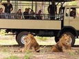 >>TAXI ONLY<< to CASELA BIRD PARK, SAFARI.