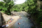 Rainforest Nature Walk from San Juan in Puerto Rico