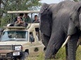  7 Days Tanzania Safari - Emnel Adventures's Signature Safari