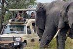 7 Days Tanzania Safari - Emnel Adventures's Signature Safari