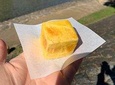 Special Food & Sake factory tour in Takayama