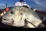Fishing Trips. Popping, jigging, big game, live bait