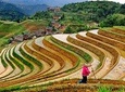  Longji Rice Terraces Day Tour with the Ping'an and Dazhai Village