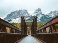 Cowboys and Coal Mines - 1.5 hrs Walking Tour