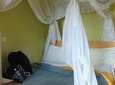 7 Days Best of Wildlife Guided Safari in Kenya