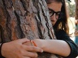Energy Forest Experience