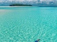 Mnemba snorkeling and dolphins tour 