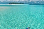 Mnemba snorkeling and dolphins tour 