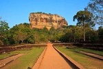 Day Tour to Sigiriya, Dambulla & Kaudulla National Park 