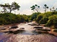 Private Tour - Guadalupe Las Gachas (Nature)