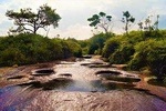 Private Tour - Guadalupe Las Gachas (Nature)