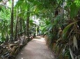  Palms and Pearls Full Day Tour
