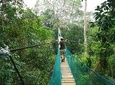 Jungle Eco Jungle And Adventure - 4 Days / 3 Nights