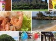 Diamond Head Hiking and Sightseeing Tour