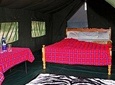 7 Days Kenya Tented Camp Wildlife Safari