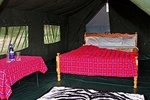 7 Days Kenya Tented Camp Wildlife Safari
