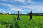 Half-Day Yoga & Meditation Retreat in Chiang Mai