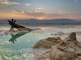 From Amman | Dead sea and Petra in one day | Admission Fees Included