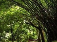 Legon & Aburi Gardens Tour