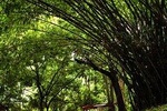 Legon & Aburi Gardens Tour