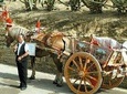 Sicily in One Memorable FullDay from Rome
