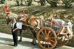 Sicily in One Memorable FullDay from Rome