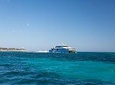 Rottnest Island Bike & Ferry Package from Perth