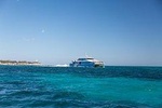 Rottnest Island Bike & Ferry Package from Perth