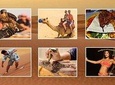 Desert Safari With 4x4 Dune Bashing, BBQ Dinner, Live Shows & More
