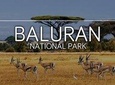 Baluran Trip