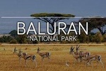 Baluran Trip