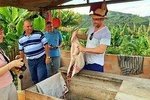 Premium COFFEE tour 