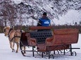 Sleigh ride in the arctic Country side 
