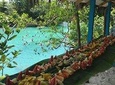 Port Vila Full Day Tour - Experience the Real Vanuatu