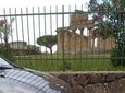 Paestum Temples, Bufala's mozzarella, Wine tasting Cilento (pick up Amalfi Coast)