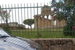 Paestum Temples, Bufala's mozzarella, Wine tasting Cilento (pick up Amalfi Coast)