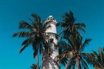 Cosy Sri Lanka (3 Days)