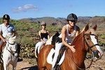 The Best Horse Riding Experience in Gran Canaria (2 hours)