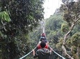 1 Day Trip In Nyungwe national park