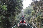 1 Day Trip In Nyungwe national park