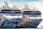 Civitavecchia Port Private Transfer - Go To Florence (Firenze)