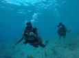 DISCOVERING THE DIVING / DSD