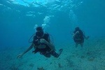DISCOVERING THE DIVING / DSD