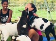 Goat Yoga with Miniature Goats In Maui