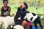 Goat Yoga with Miniature Goats In Maui