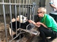 Dujiangyan Panda Base Volunteer Experience Trip