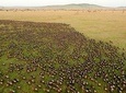 3 days 2 night Maasai Mara safari from Mombasa